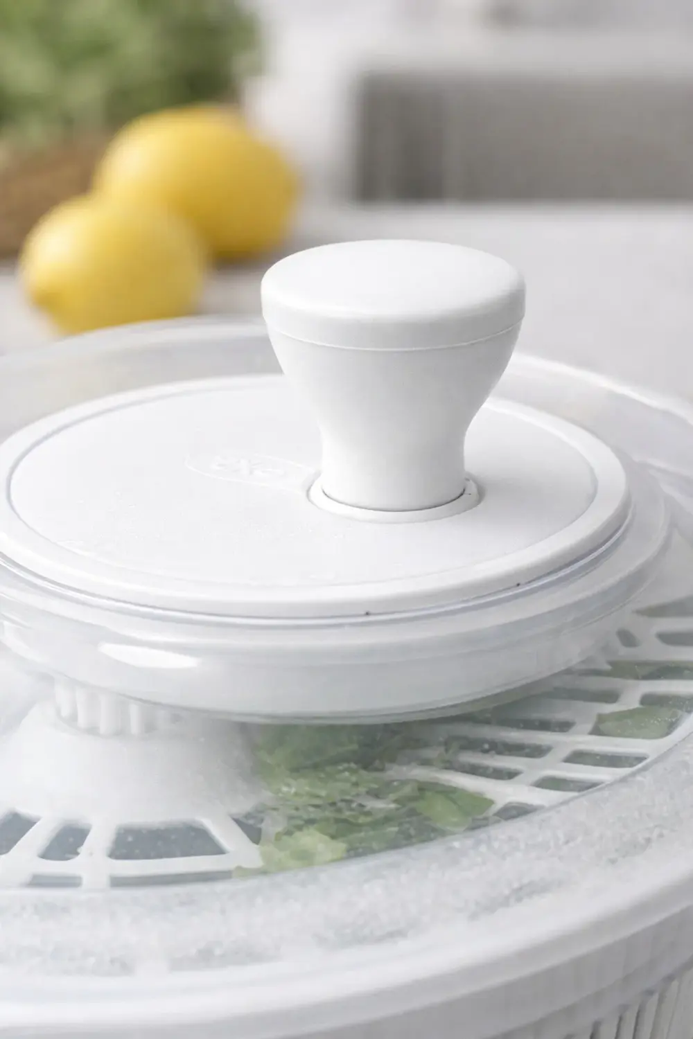 Manuel Salata Kurutucusu – Döner Mekanizmalı, Kapaklı Sebze ve Ye