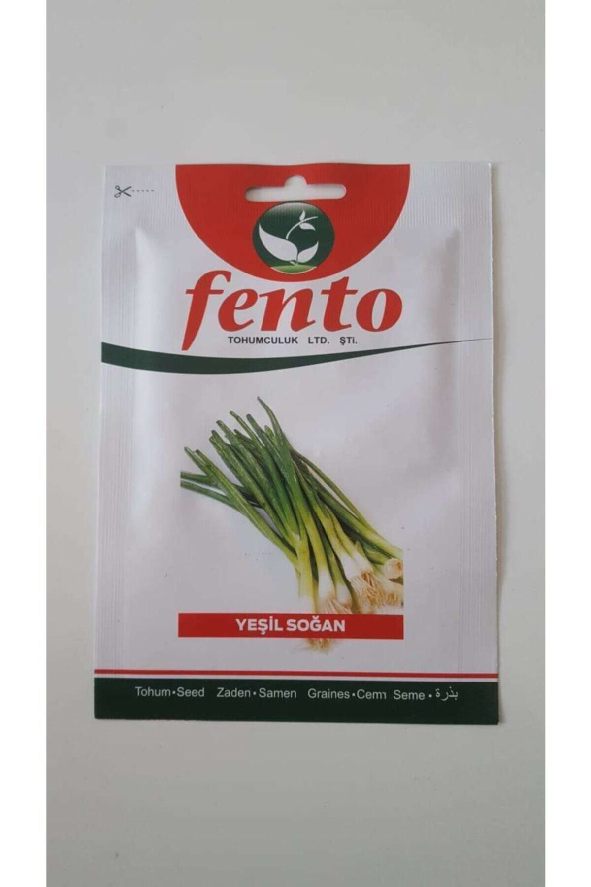 Fento Marka Yeşil Soğan Tohumu 1 Paket %100 Yüksek Verimlidir.