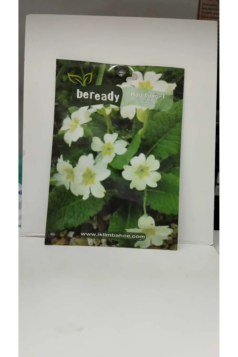 Mart Çiçeği(BEYAZ) Tohumu 3 Paket