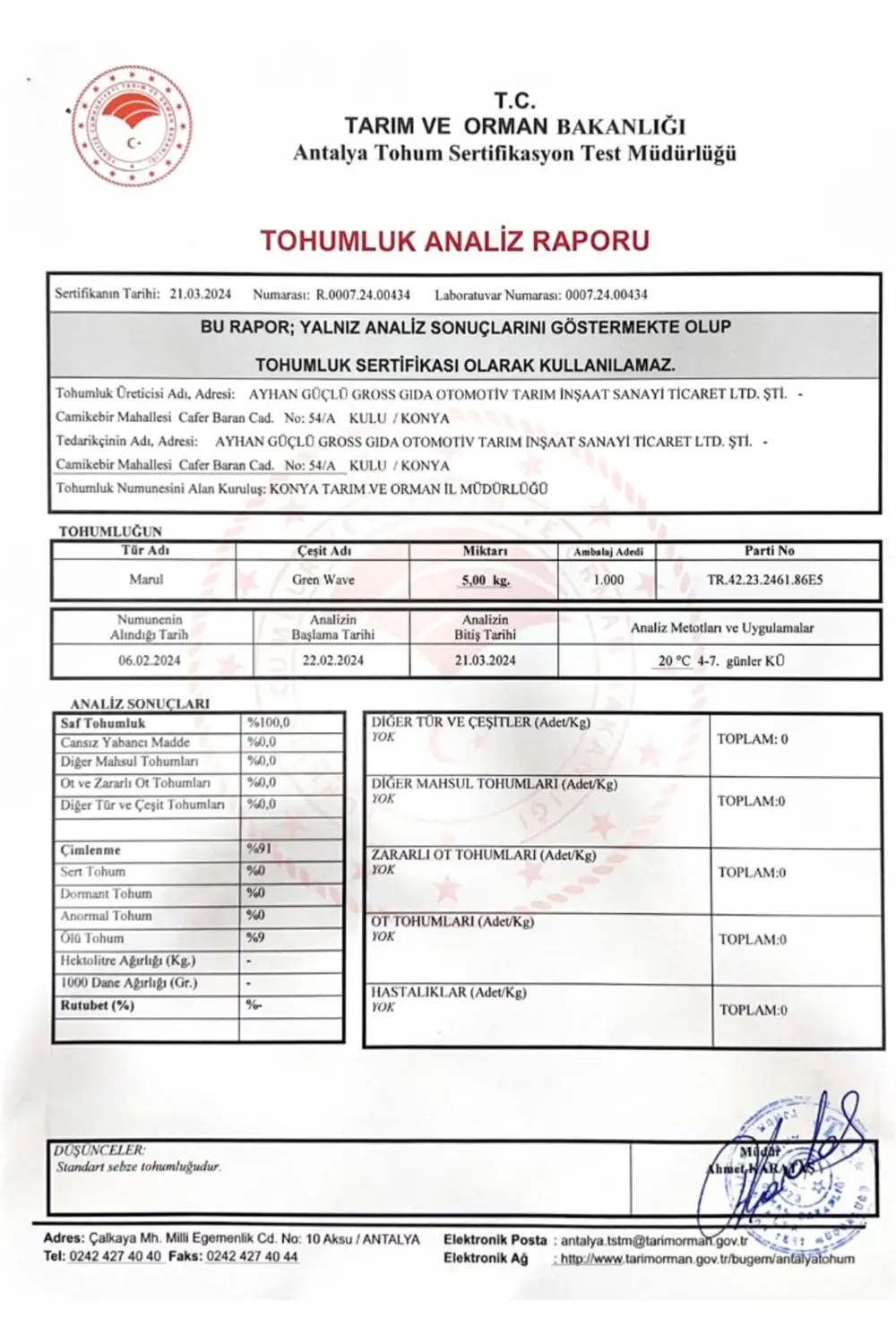 Marul Kışlık Kıvırcık Tohumu