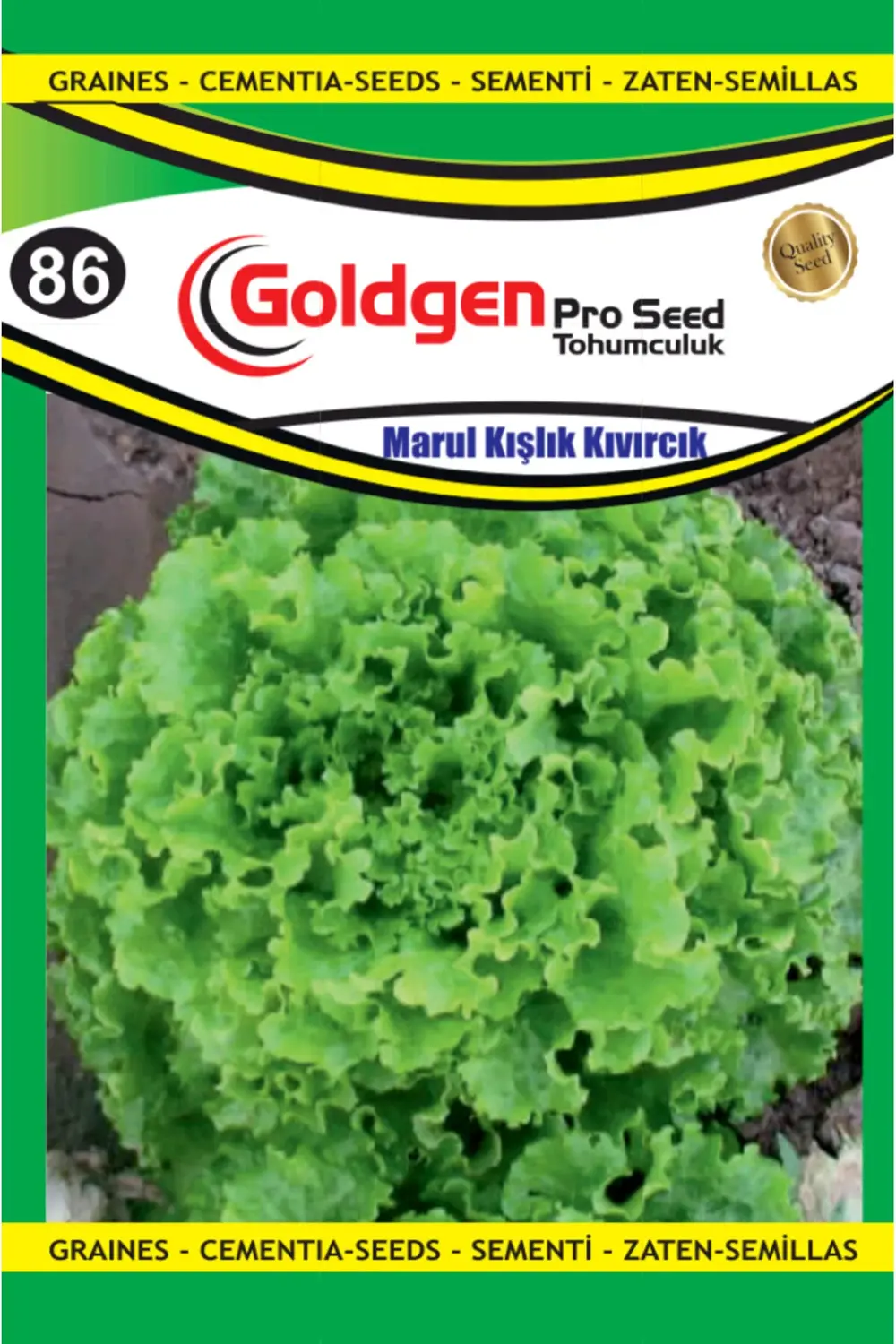 Marul Kışlık Kıvırcık Tohumu