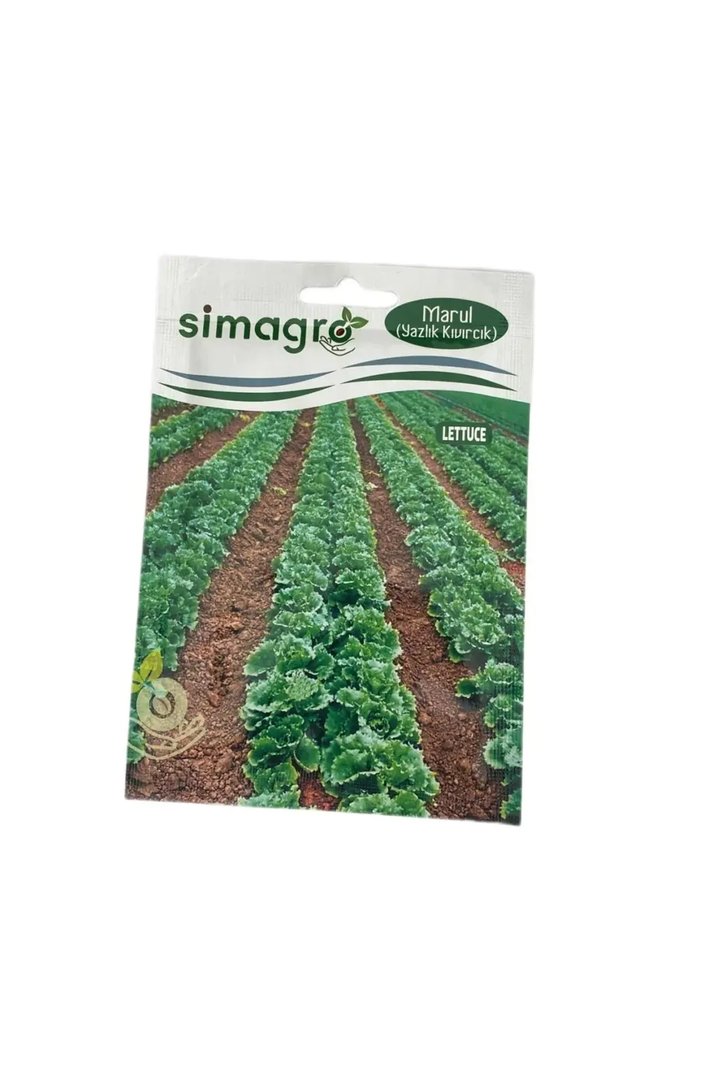 Marul Yazlık Kıvırcık