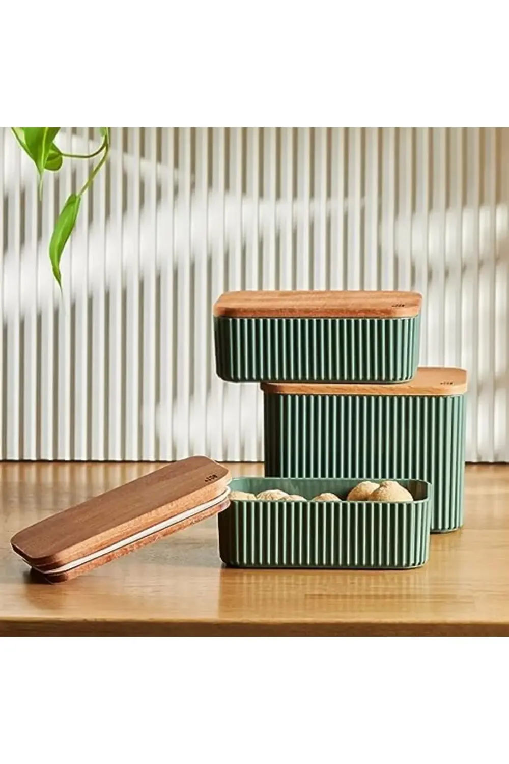 Massimo 3'lü Saklama Kabı Seti, Yeşil 1178227
