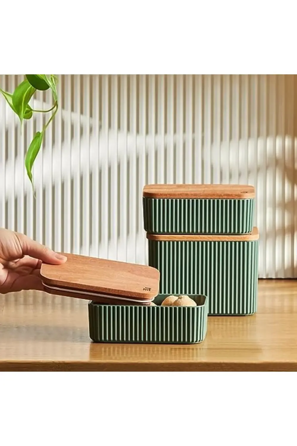 Massimo 3'lü Saklama Kabı Seti, Yeşil 1178227