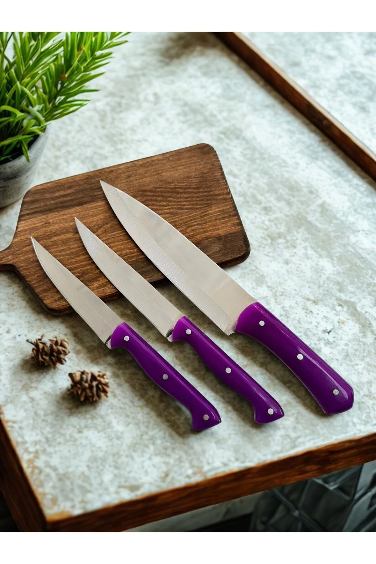 Mastercut 3 Parça Bıçak Seti