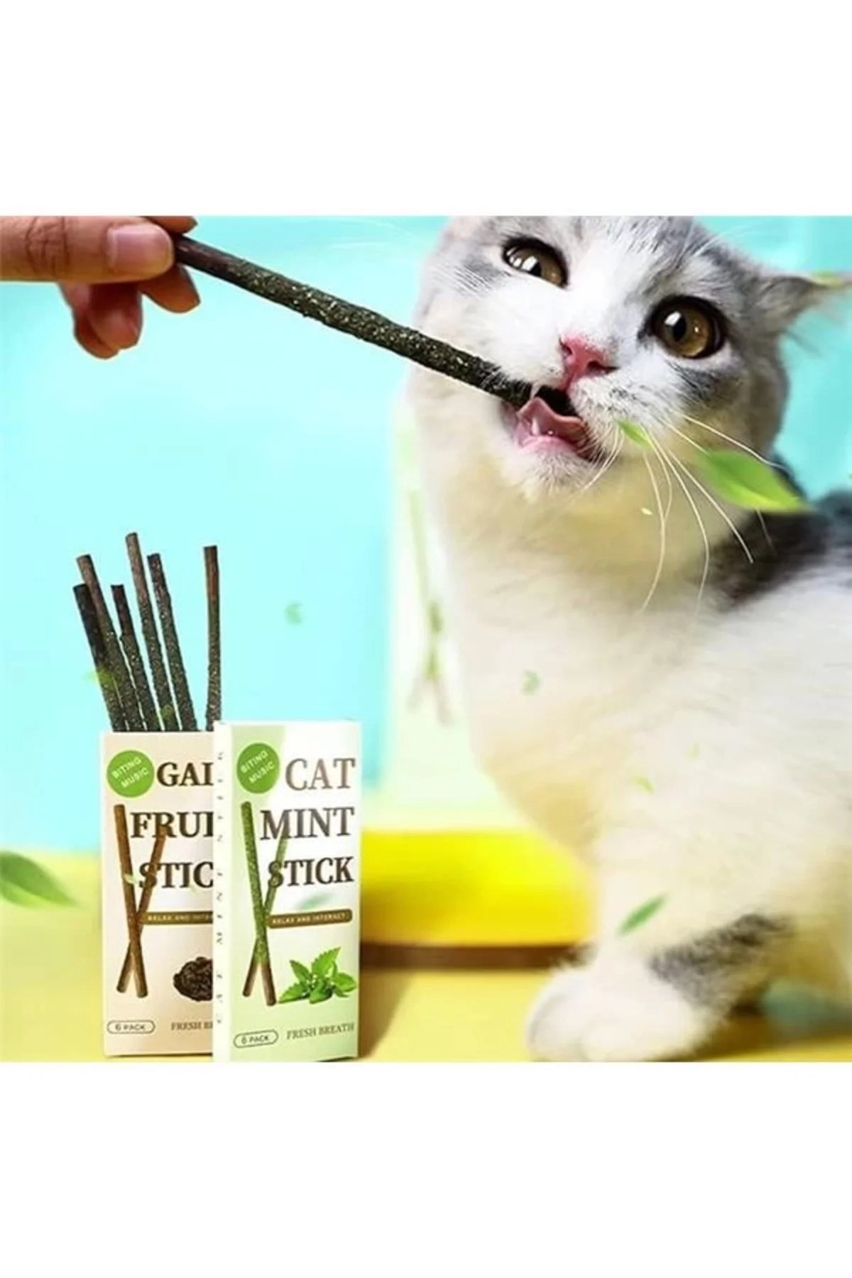 Matatabi Kedi Diş Bakım Çubuğu, 6'lı Paket, Doğal Diş Temizleyici