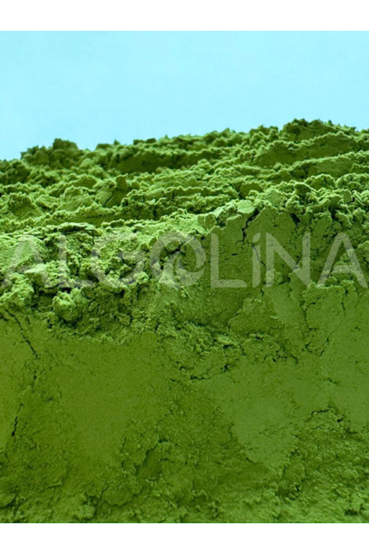 Matcha Ceremonial Grade Katkısız Matcha Çayı - 30'lu Saşe - Match