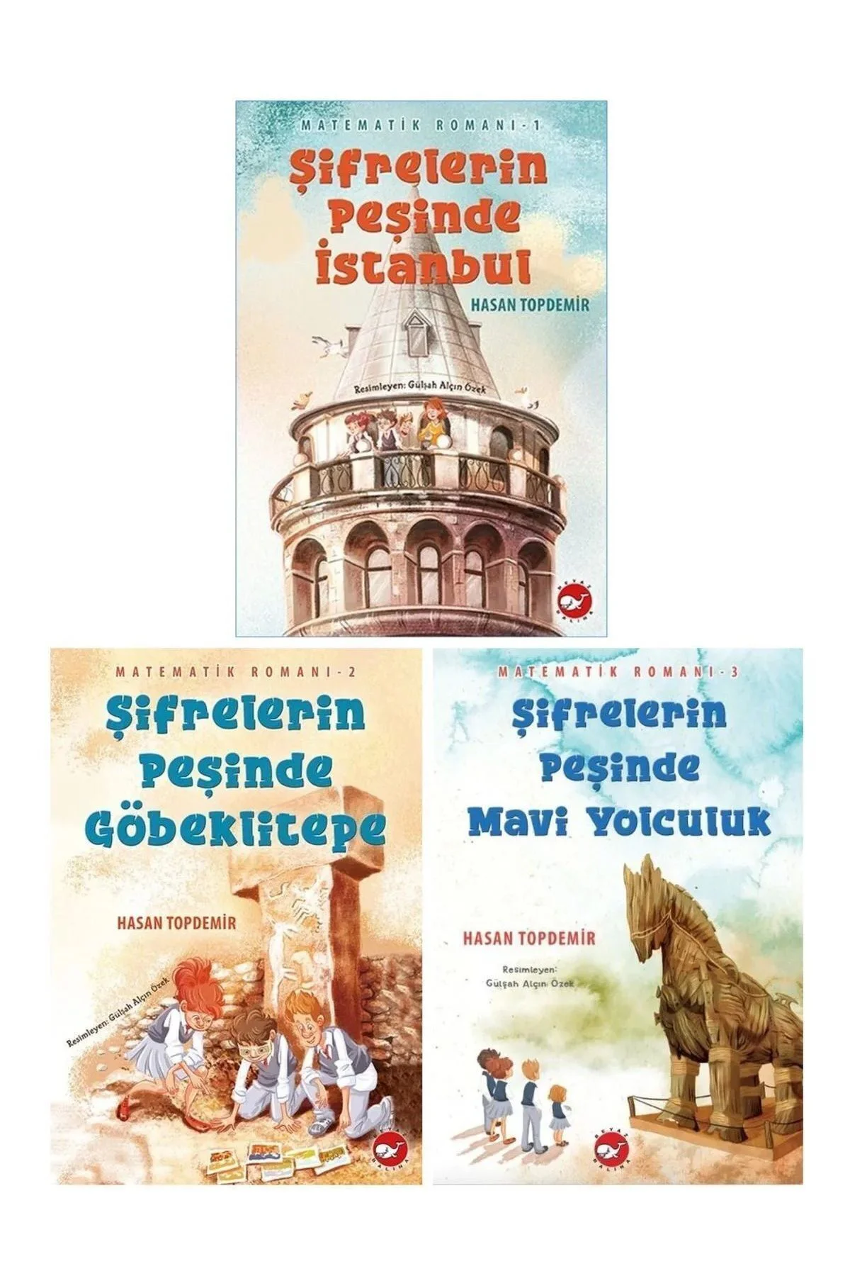 Matematik Romanı Şifrelerin Peşinde 3 Kitap Set Hasan Topdemir + 