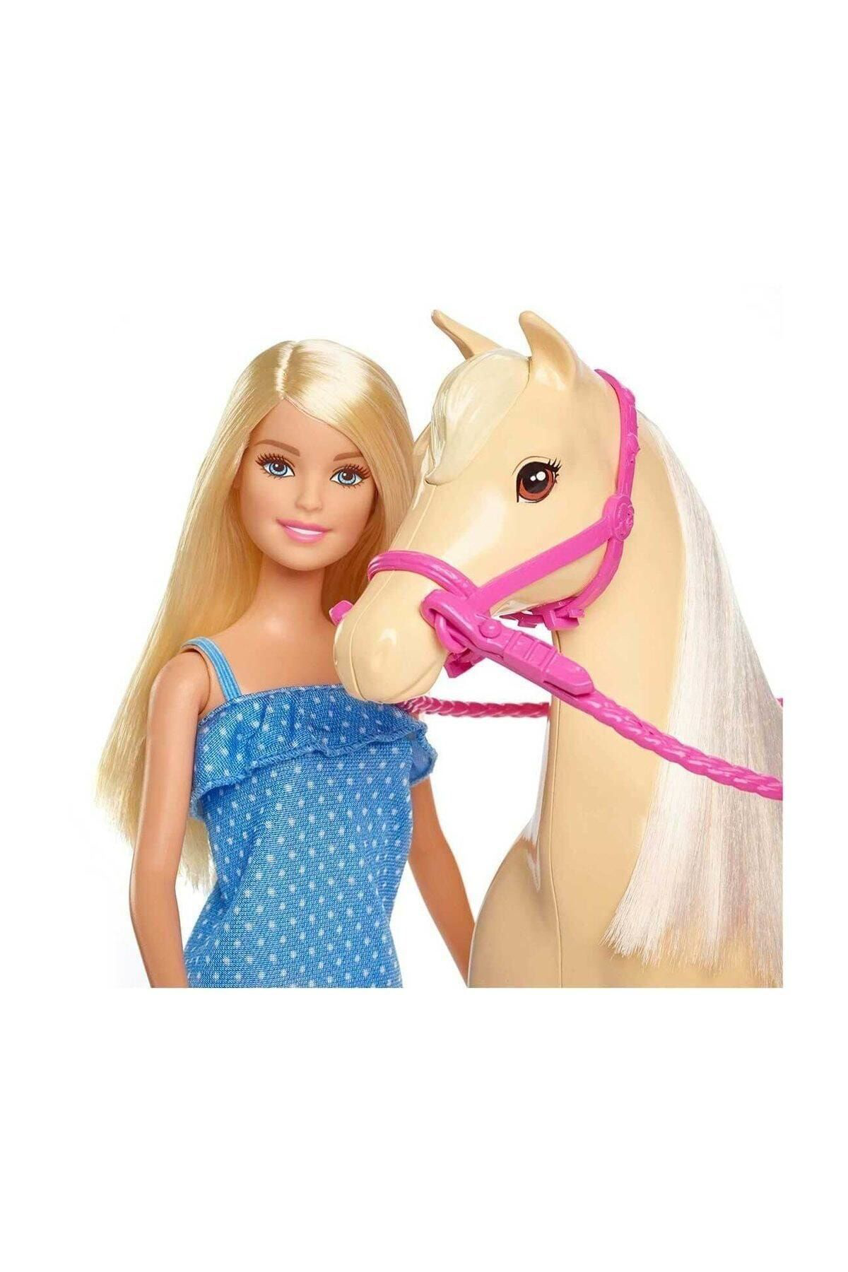 MATTEL BARBIE AİLE FXH13 GUZEL ATI OYUN SET-3
