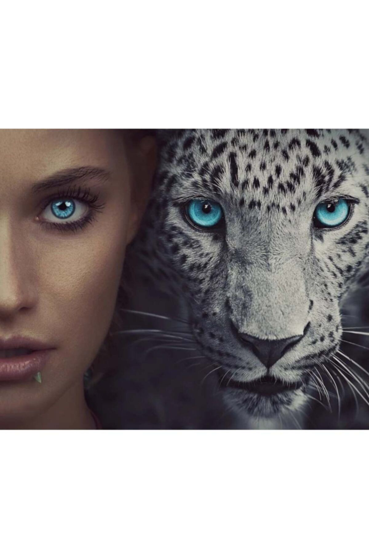 Kendinyaphobi Mavi Gözler Sayılarla Boyama Seti Çerçeveli Kasnaklı