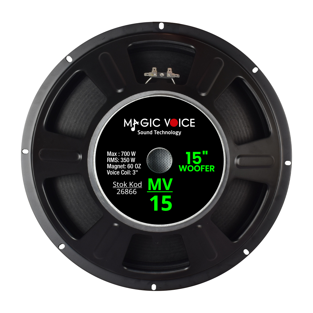 MAX 700W / RMS 350 WATT 15 38 CM WOOFER YEDEK HOPARLÖR (4741)