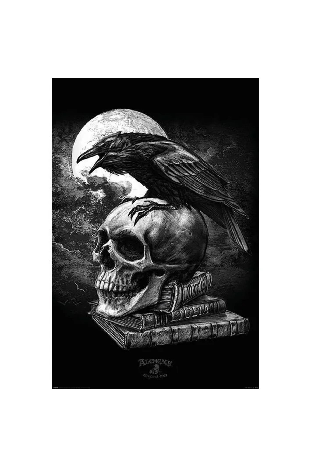 Maxi Poster Alchemy (Poe's Raven)