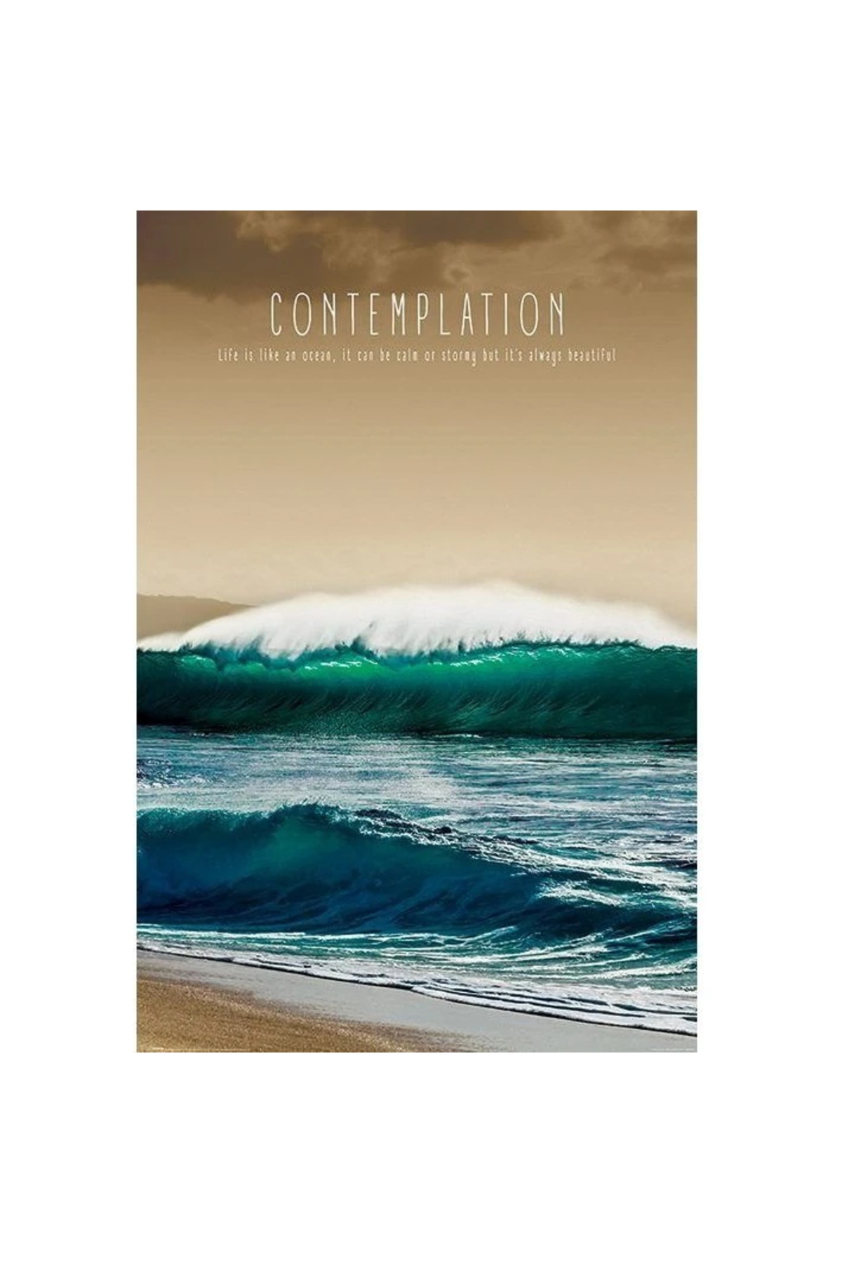 Maxi Poster Contemplation