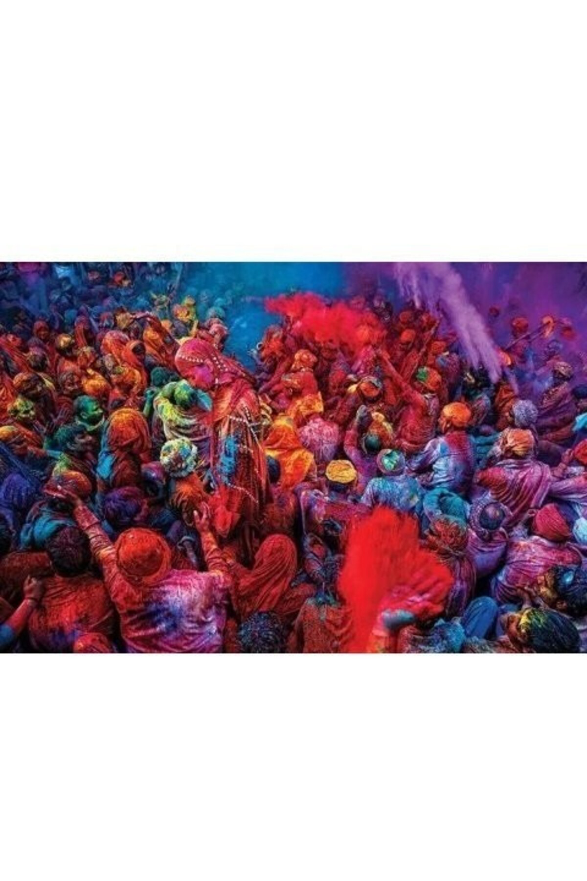 Maxi Poster Festival Of Colours