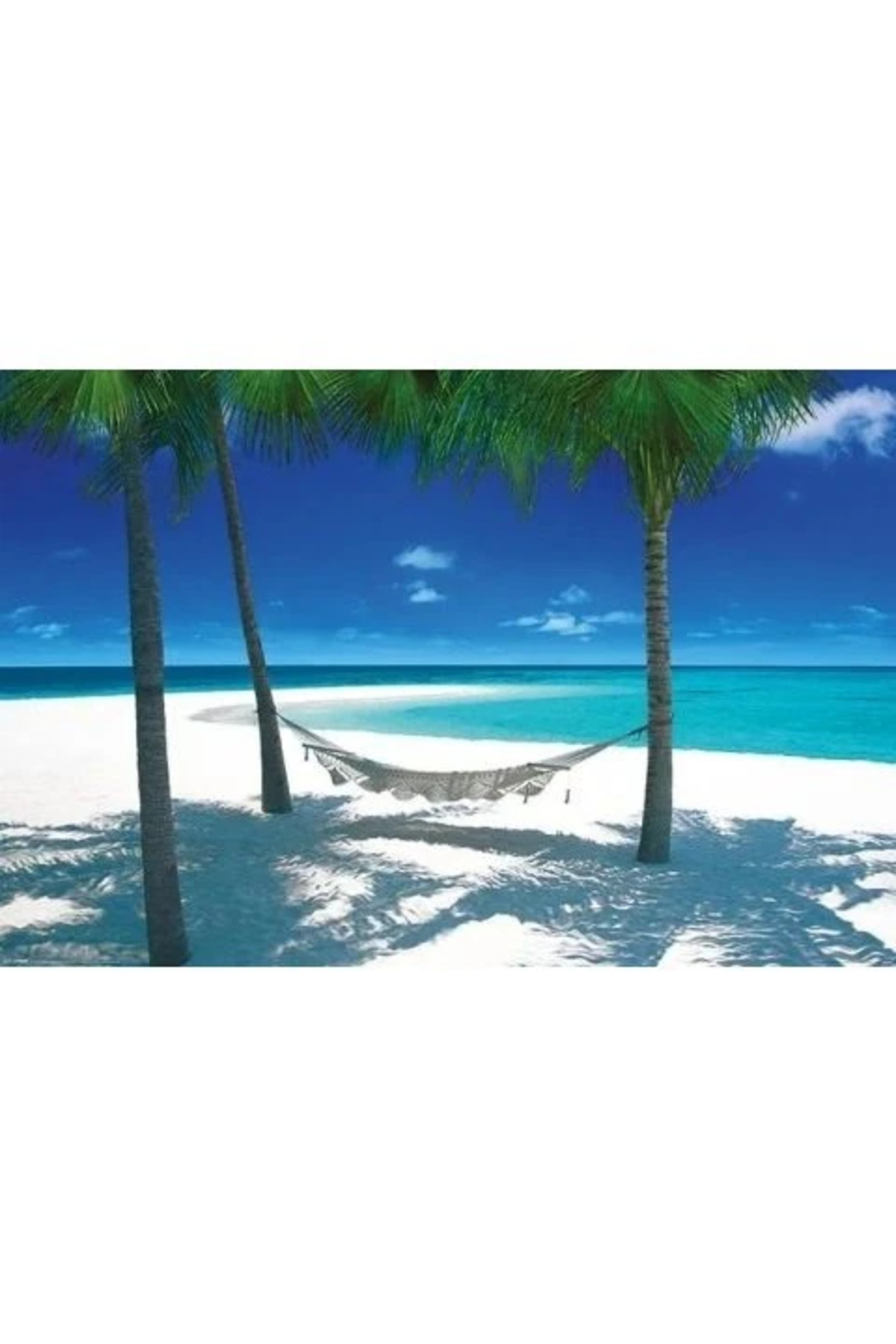 Maxi Poster Hammock In Paradise