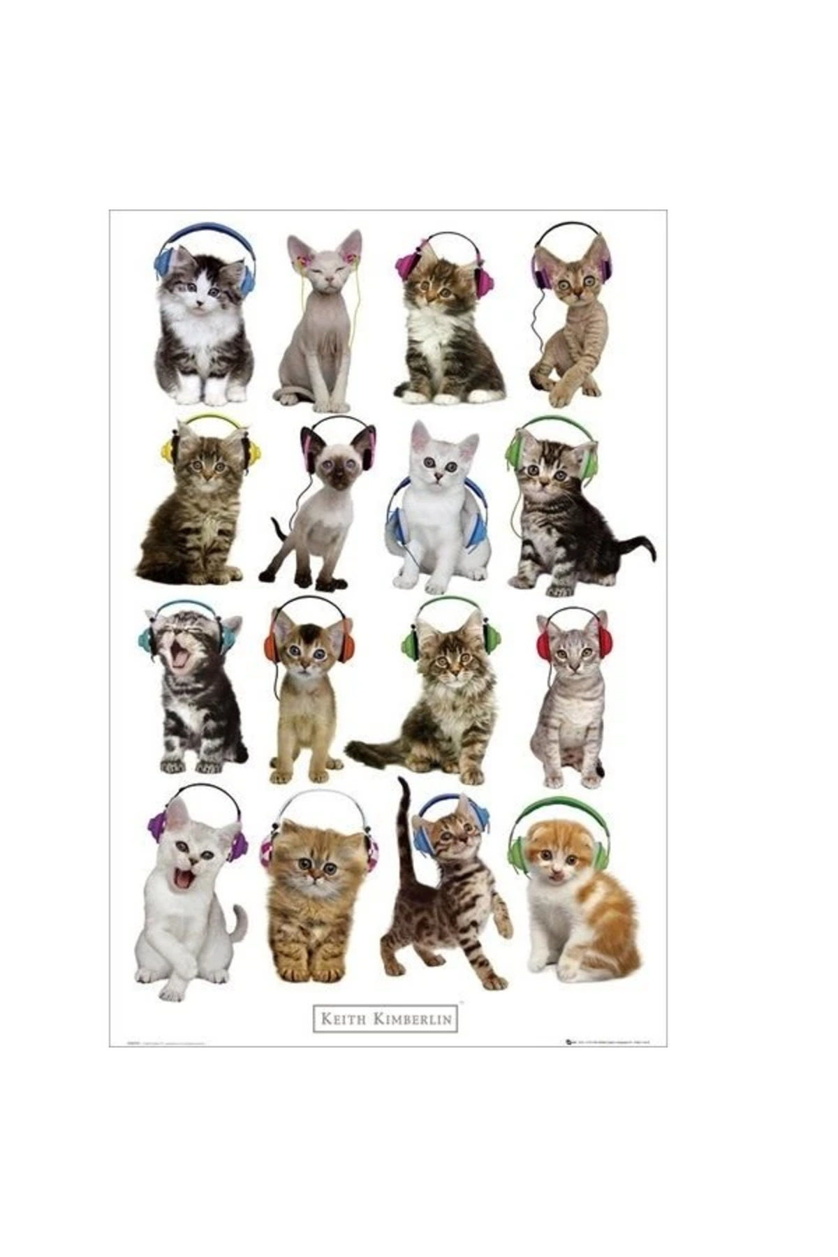 Maxi Poster - Keith Kimberlin Kittens Headphones
