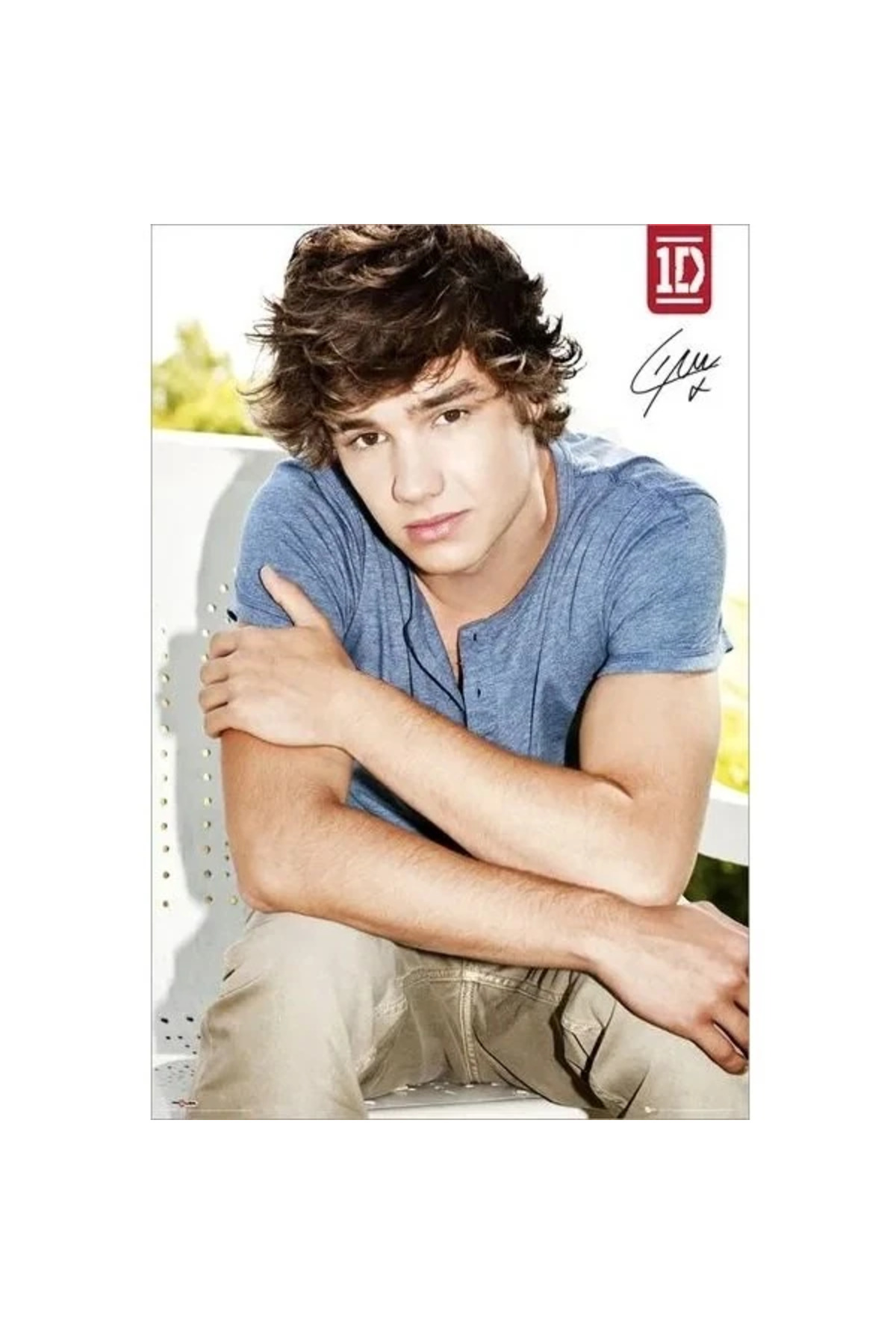 Maxi Poster - One Direction Liam S.O.S