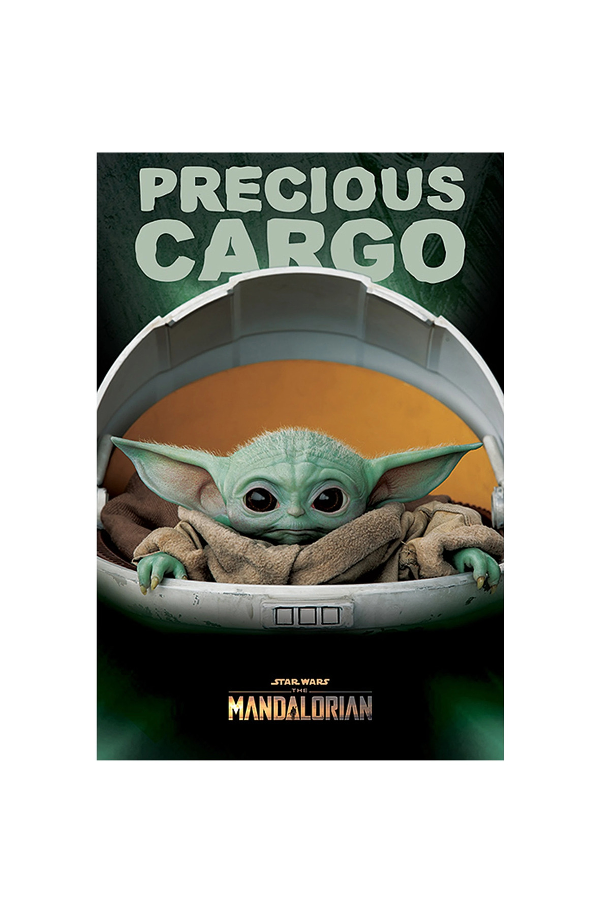 Maxi Poster Star Wars: The Mandalorian (Precious Cargo)