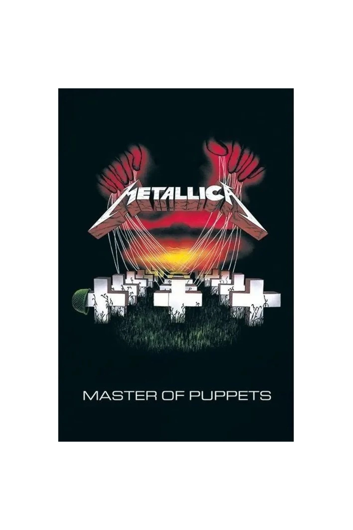 Maxi Poster Warning Do Not Feed The Zombies