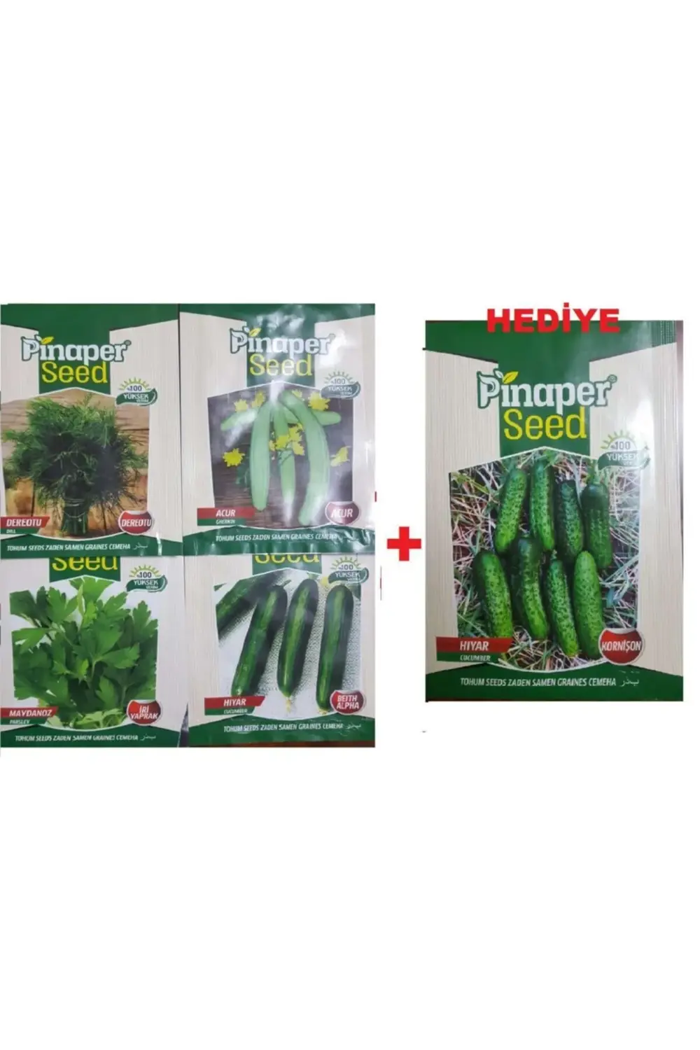 Maydanoz Tohumu - Dere Otu Tohumu - Acur Tohumu - Hıyar Tohumu