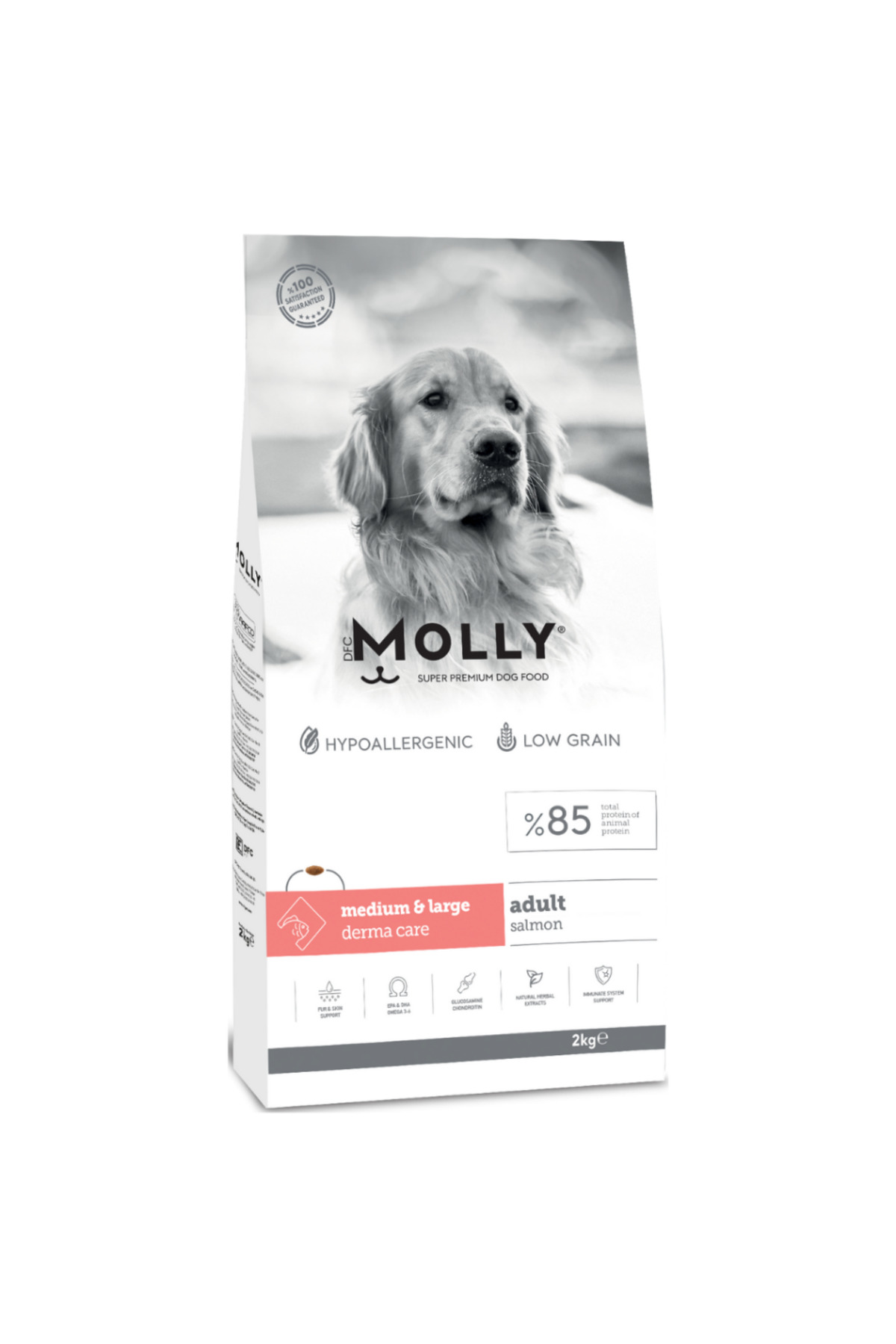 Molly Medium Adult Derma Care Somonlu Orta Ve Büyük İrk Yetişkin Köpek