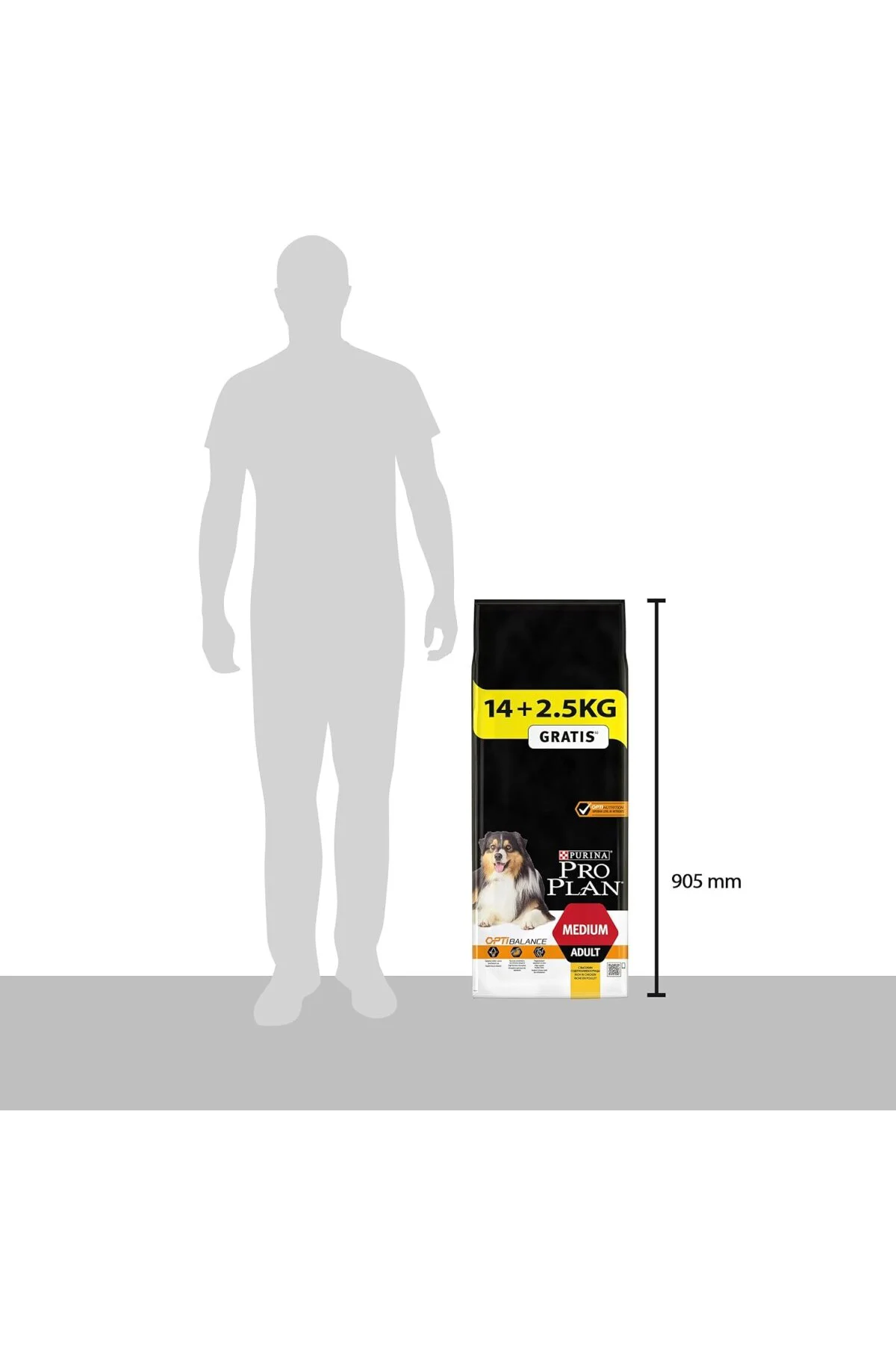 Medium Adult Tavuklu Yetişkin Köpek Maması 16,5 kg