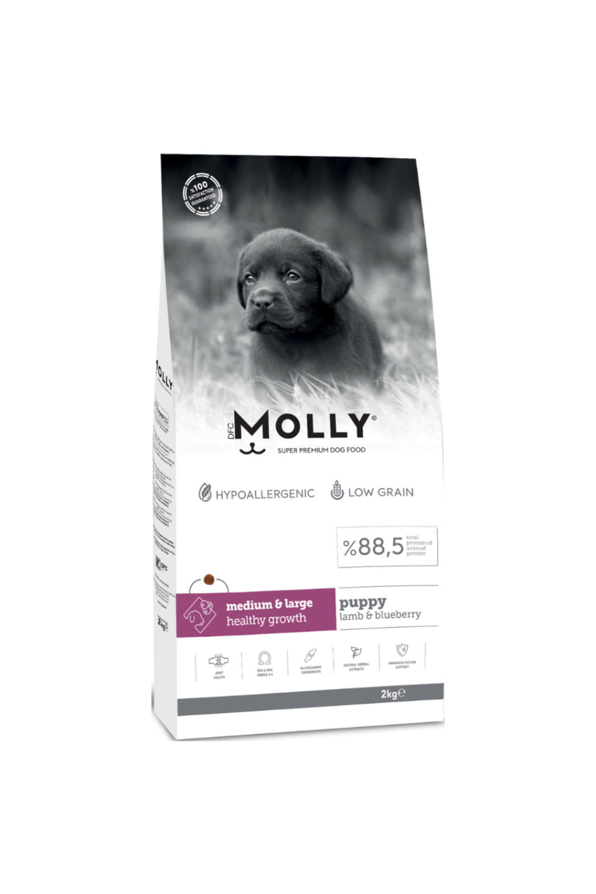 Molly Medium Large Puppy Kuzu Etli Yaban Mersinli Yavru Köpek Mamasi 2