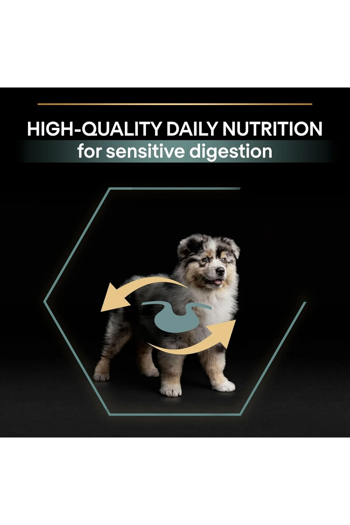 Medium Puppy Kuzu Etli Köpek Maması 12 kg