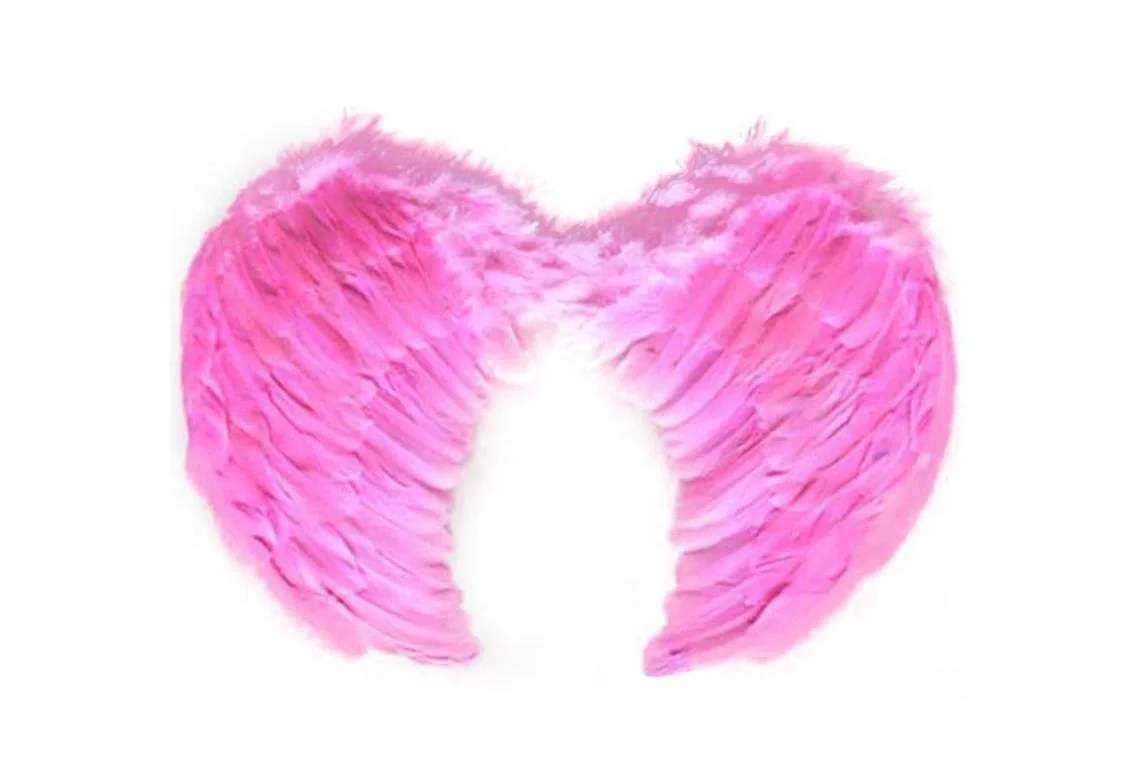 Melek Kanadı Büyük Boy - Pembe Melek Kanadı Büyük Boy - Pembe
