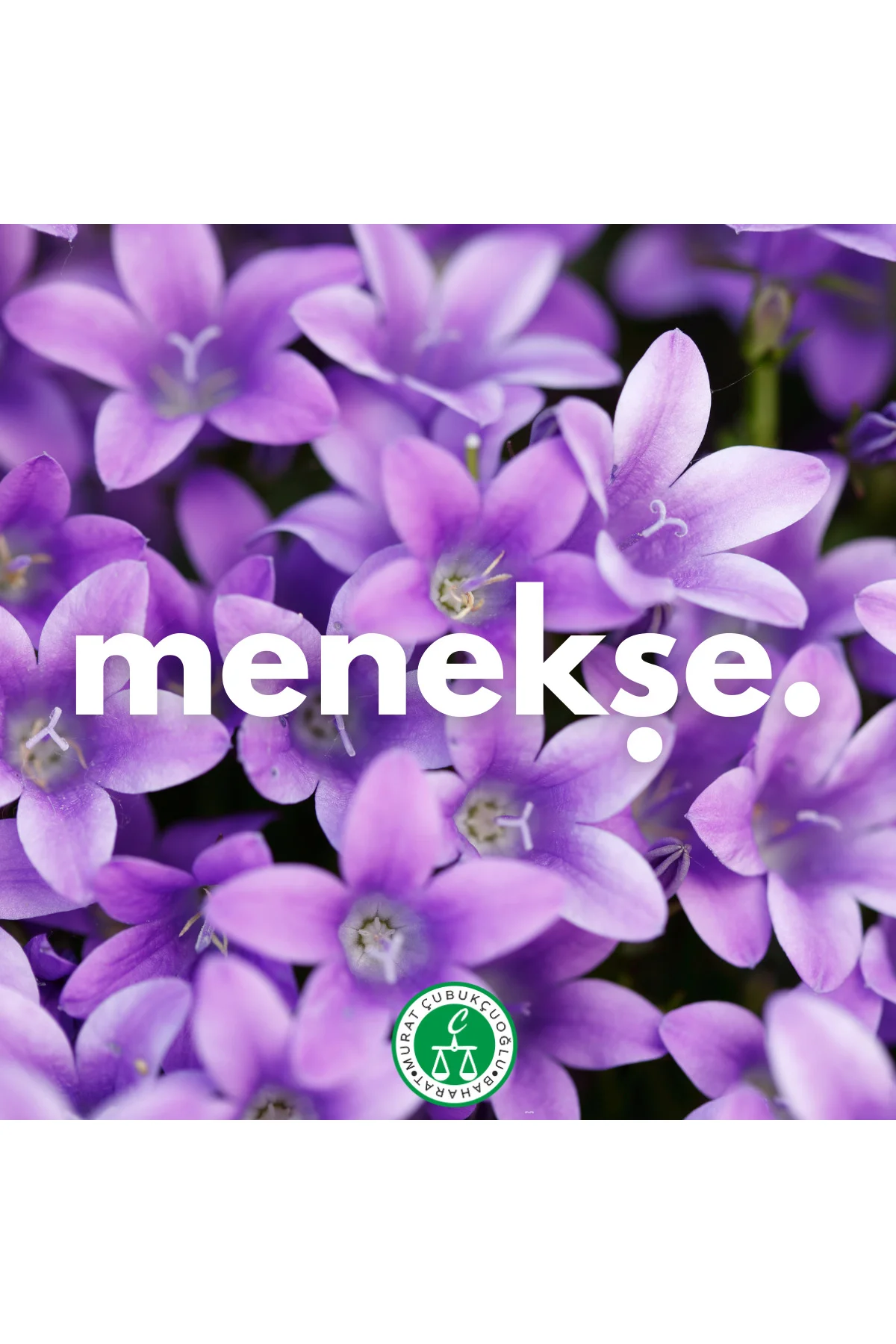 Menekşe Esansı 10cc