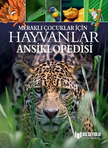 Meraklı Çocuklar İçin Hayvanlar Ansiklopedisi Fiyatı, Yorumları ve Özellikleri