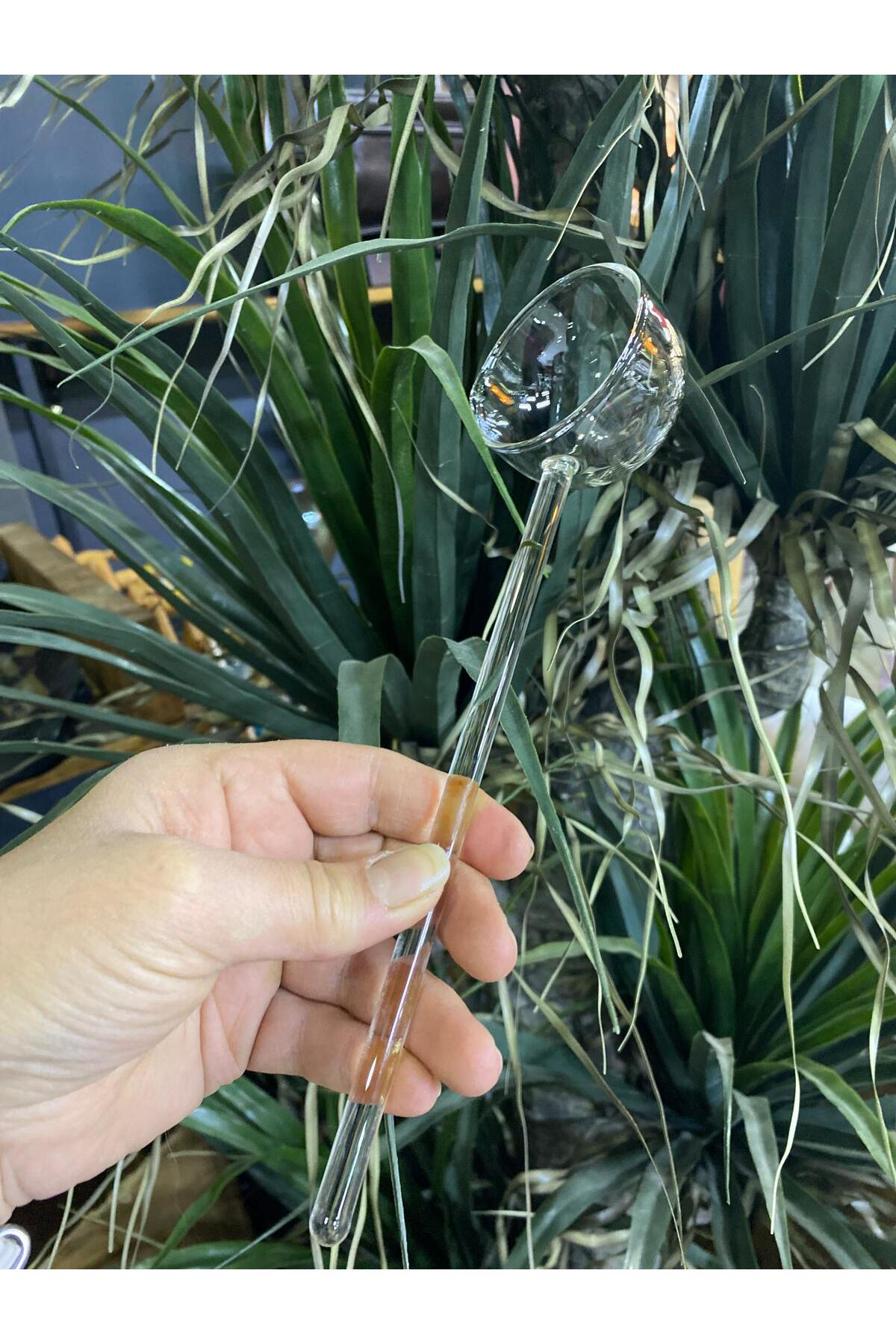 Elif Aksesuar Mercan Borosilikat Cam Sos Kepçesi