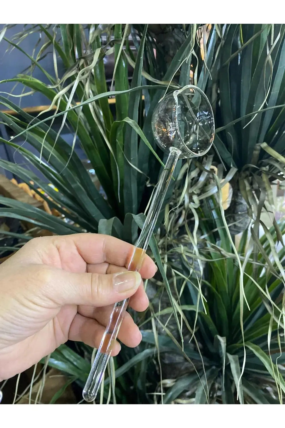 Mercan Borosilikat Cam Sos Kepçesi