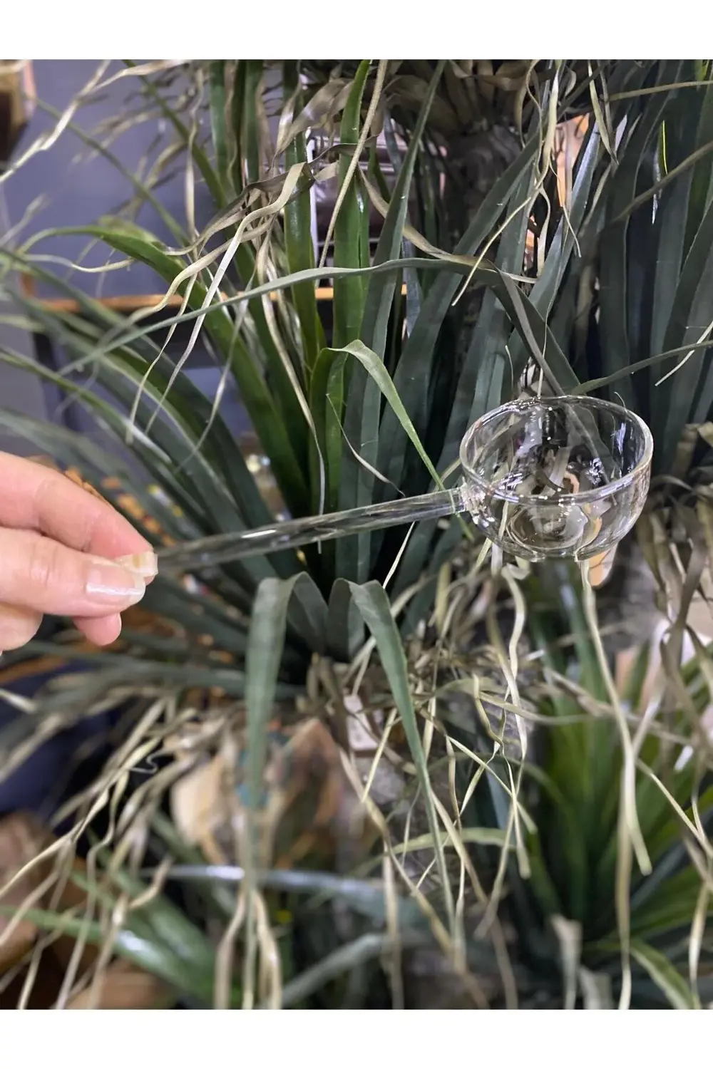 Mercan Borosilikat Cam Sos Kepçesi