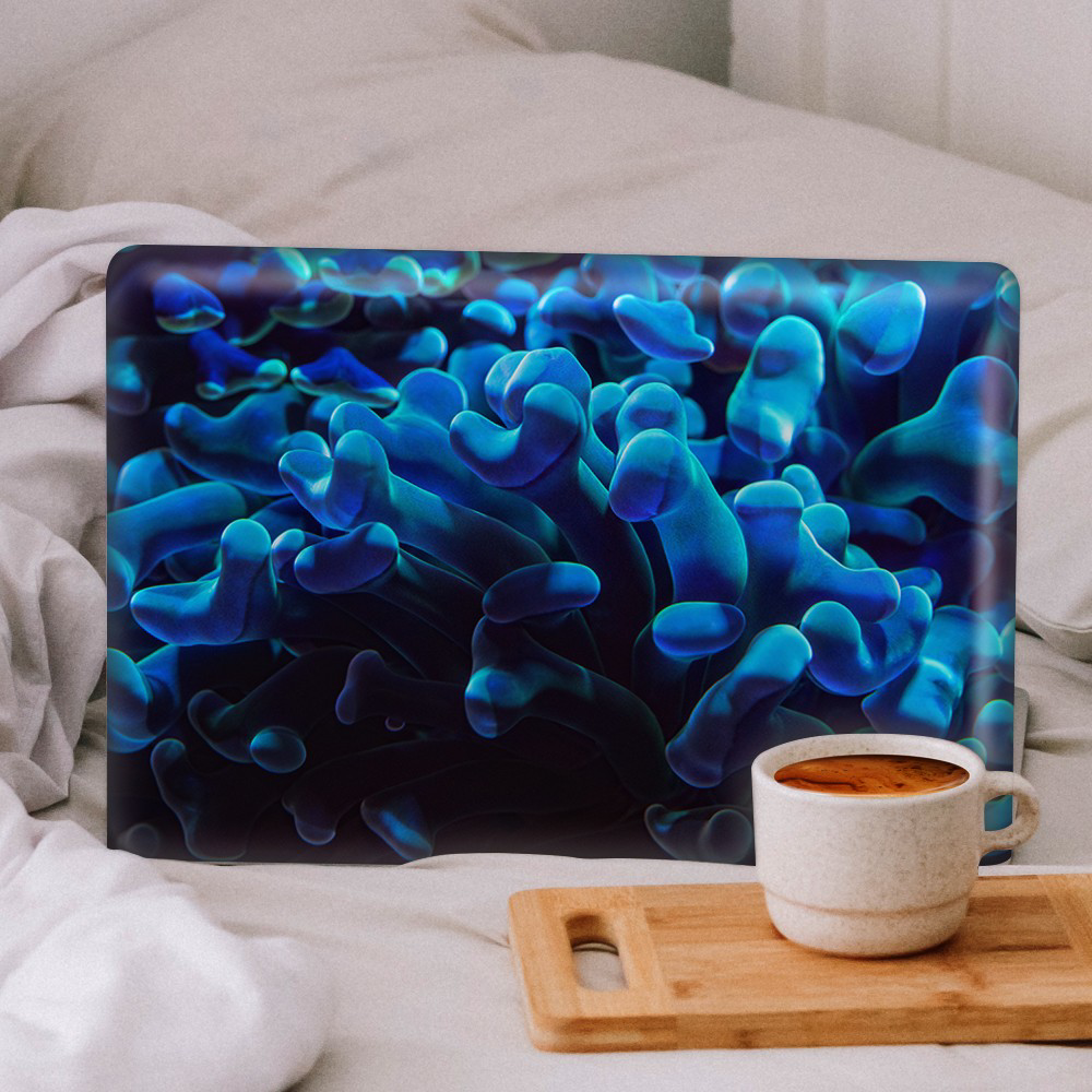 Artikel Mercan Notebook Sticker, Laptop Sticker,Hp Sticker, Asus Sticker, Artikel Mercan Notebook Sticker, Laptop Sticker,Hp Sticker, Asus Sticker,