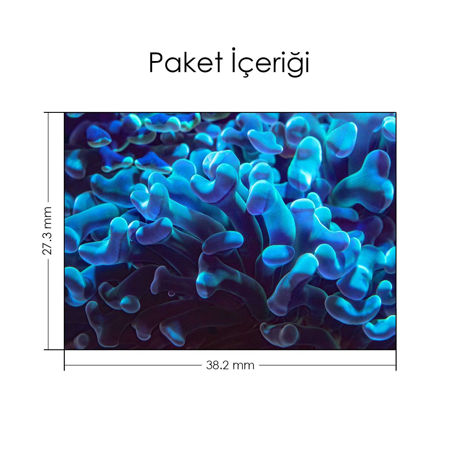 Artikel Mercan Notebook Sticker, Laptop Sticker,Hp Sticker, Asus Sticker, Artikel Mercan Notebook Sticker, Laptop Sticker,Hp Sticker, Asus Sticker,