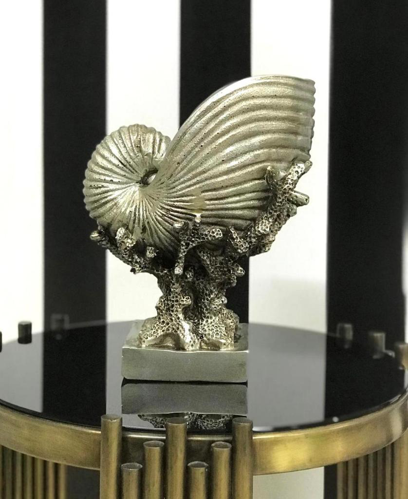 Mercan Üzerinde Deniz Kabuğu Biblo