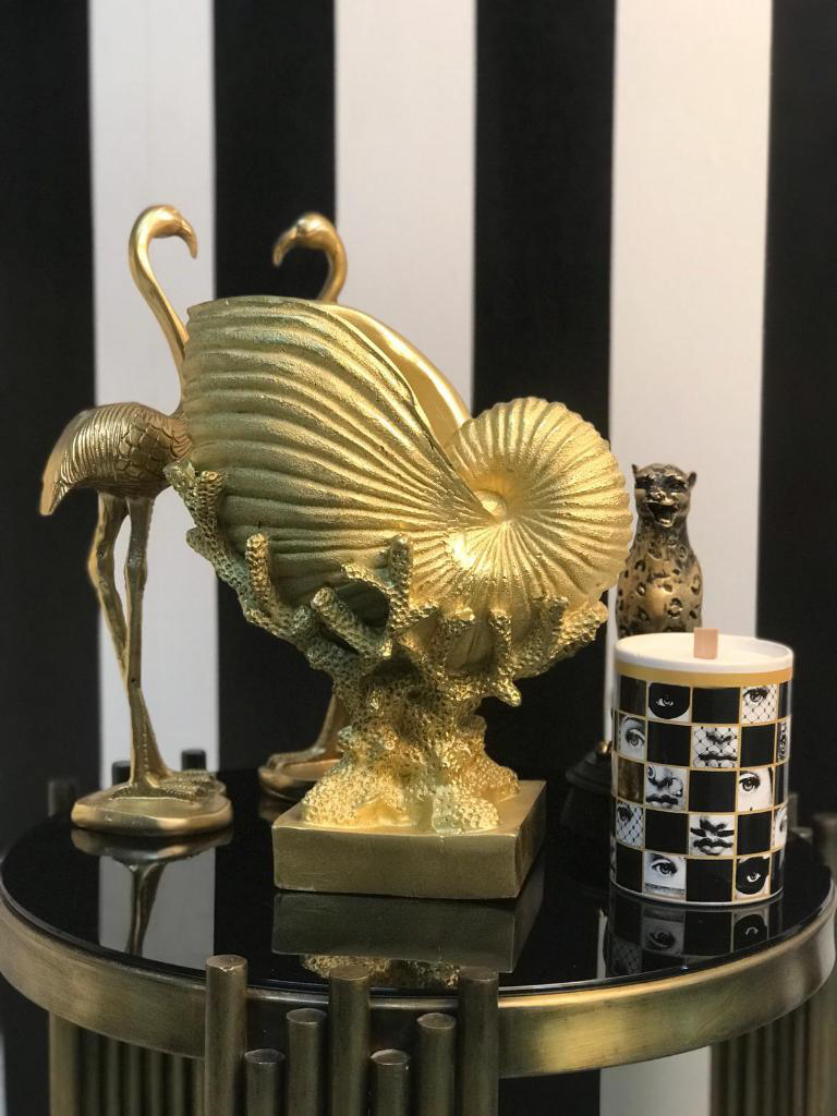 Mercan Üzerinde Deniz Kabuğu Biblo