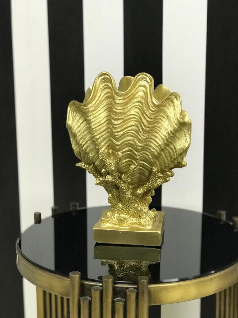 Mercan Üzerinde Deniz Kabuğu Biblo