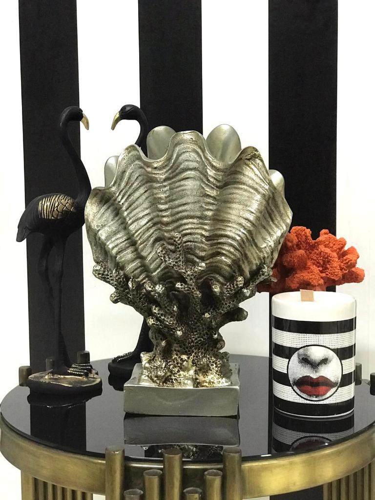 Mercan Üzerinde Deniz Kabuğu Biblo