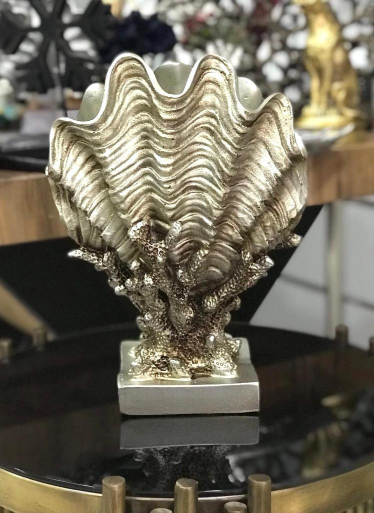 Mercan Üzerinde Deniz Kabuğu Biblo