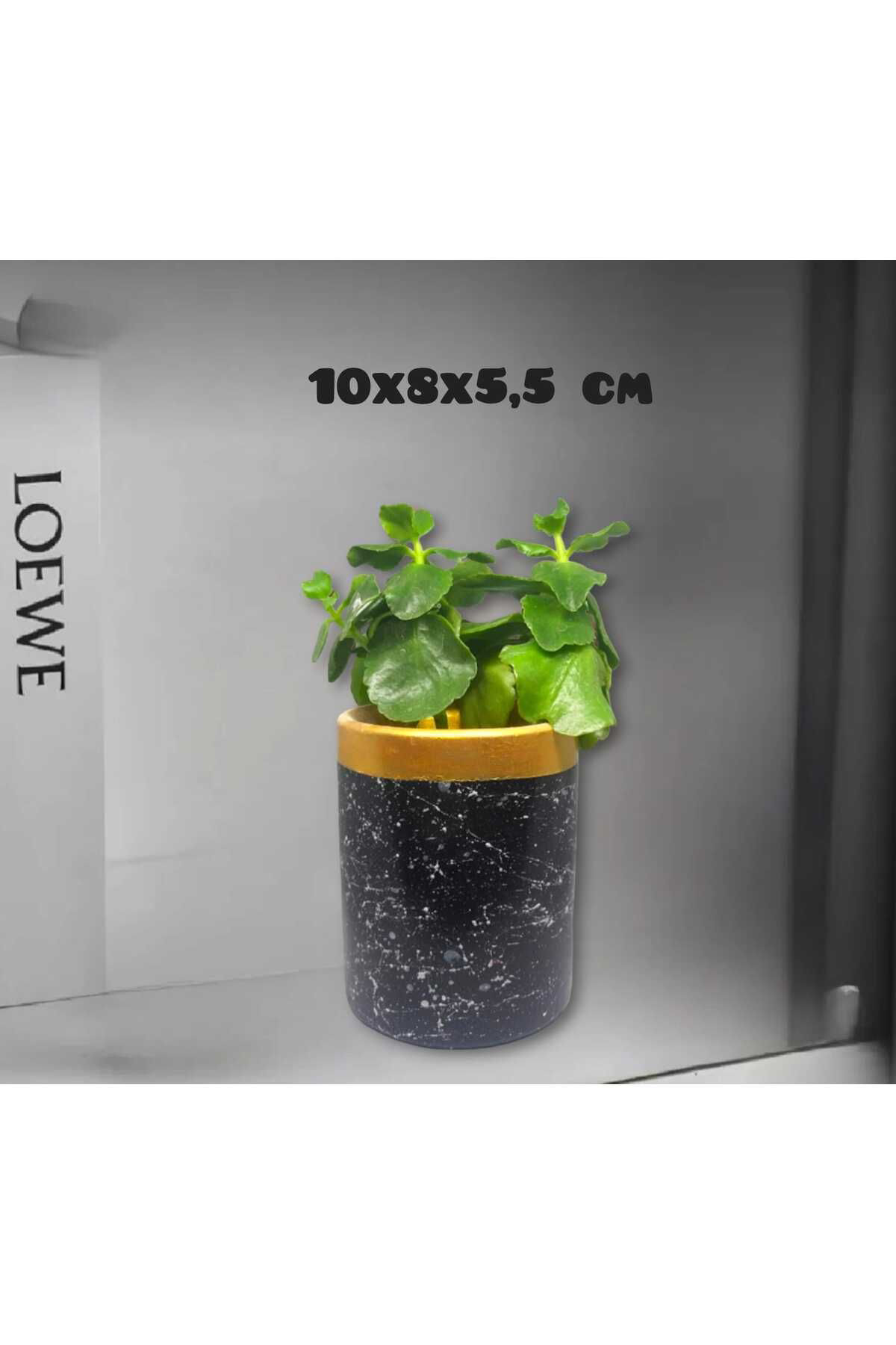 Dodemert Home Mermer Efektli Siyah Tasarım Beton Saksı