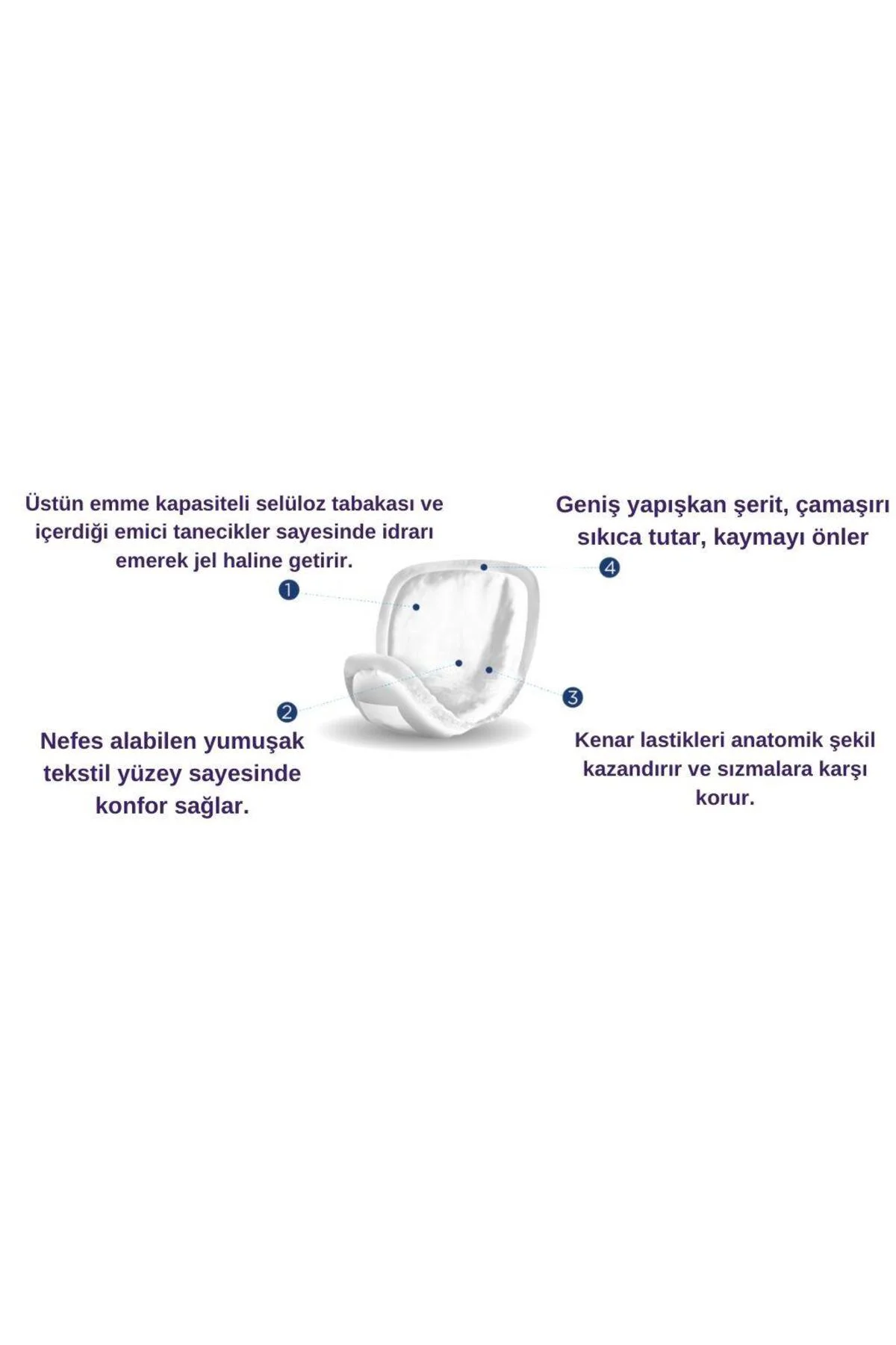 Mesane Pedi 12 Adet // Erkek Normal