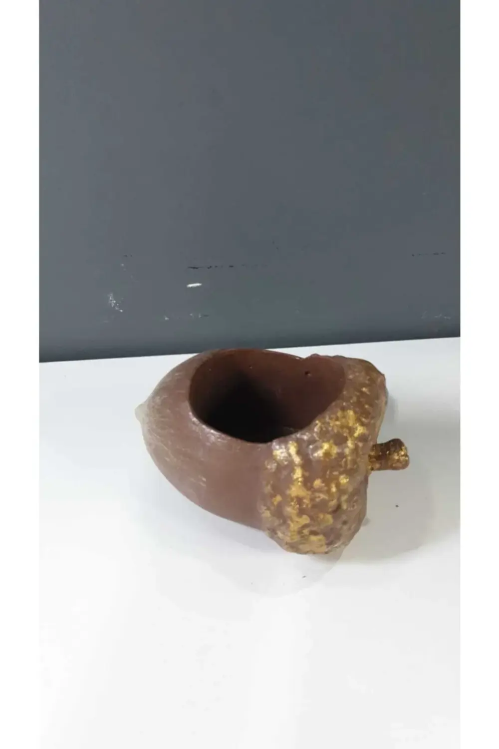 Meşe Palamutu Saksı