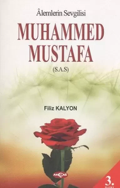 Mevlana ve Mesnevi Gerçeği