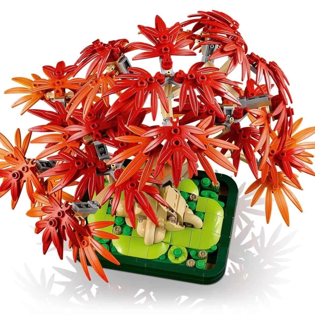 Mey İthalat® Botanicals Japon Kırmızı Akçaağaç Bonsai Ağacı 10348