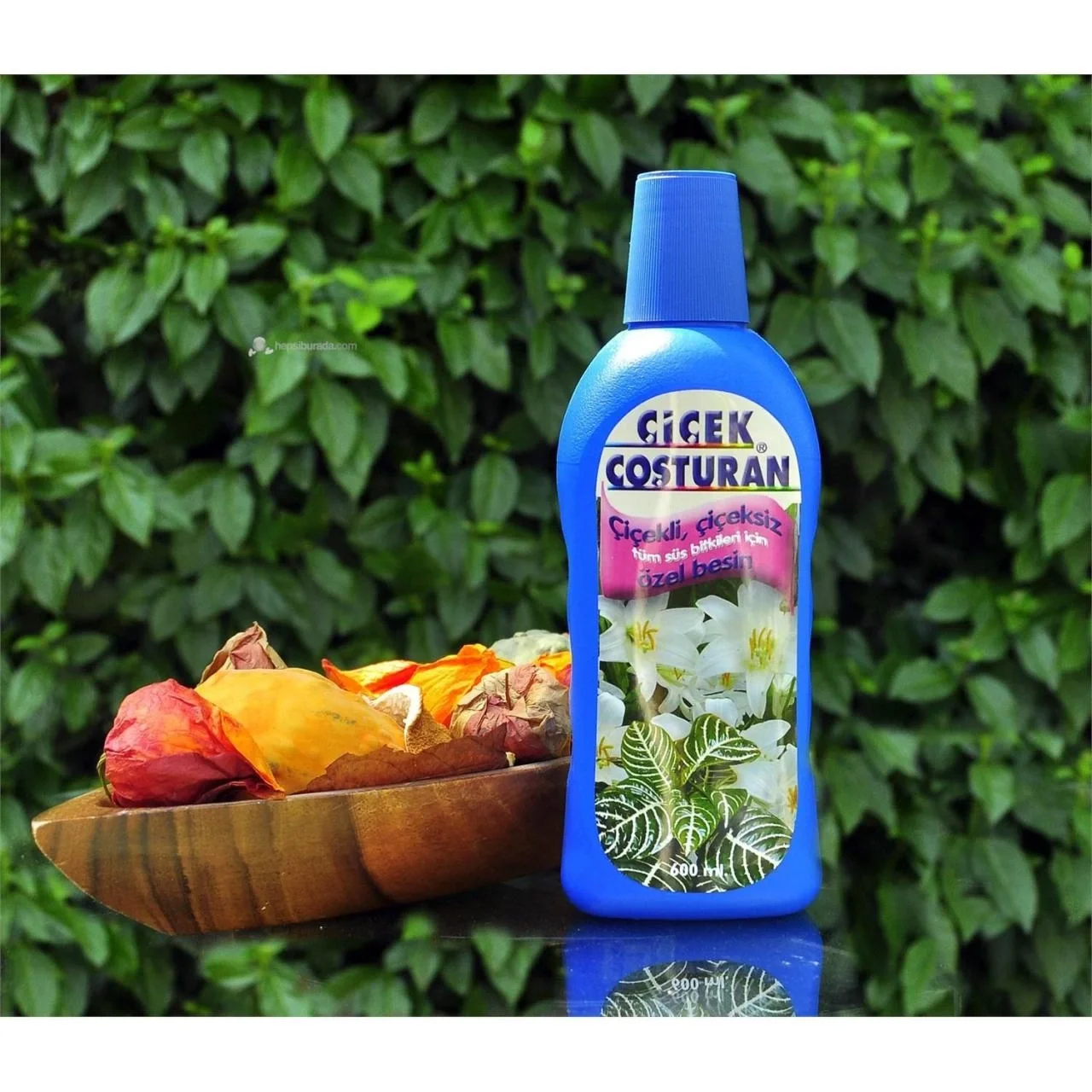 Mey İthalat® Çiçek Coşturan Çiçekli Çiçeksiz Tüm Süs Bitkileri İç