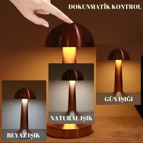 Mey İthalat® Dekoratif Led Masa Lambası 3 Renk Modlu