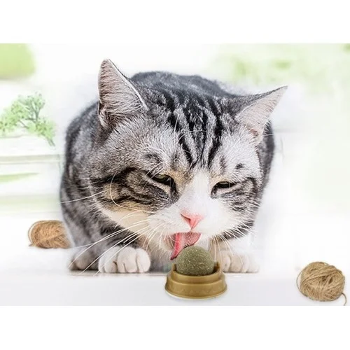 Mey İthalat® Kedi Otu Oyun Topu Cat Mint
