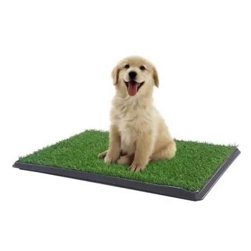 Mey İthalat® Köpek Tuvalet Eğitim Seti